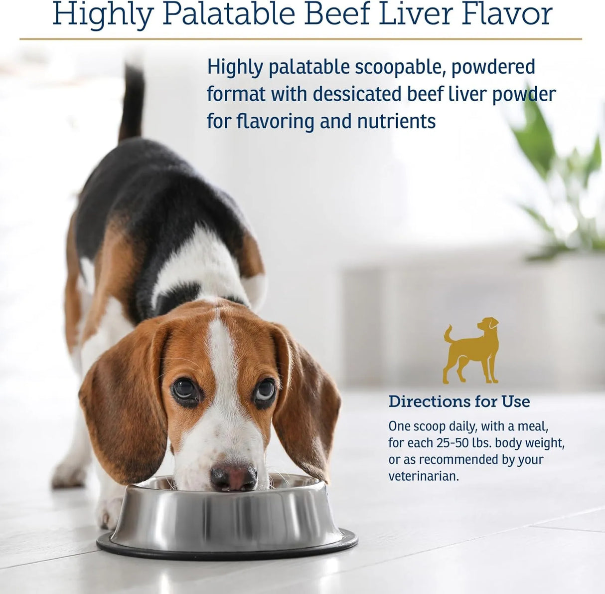 RX VITAMINS - Rx Vitamins Essentials for Dogs Daily Dog Multivitamin Powder 227Gr. - The Red Vitamin MX - Multivitamínicos Para Perros - {{ shop.shopifyCountryName }}