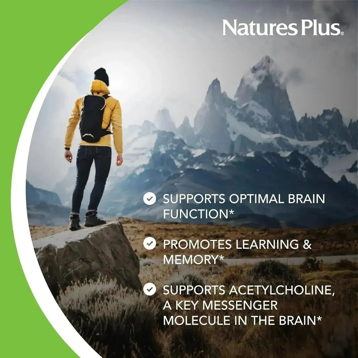 NATURES PLUS - Natures Plus Huperzine Rx-Brain 50mcg 30 Tabletas - The Red Vitamin MX - Suplementos Alimenticios - {{ shop.shopifyCountryName }}