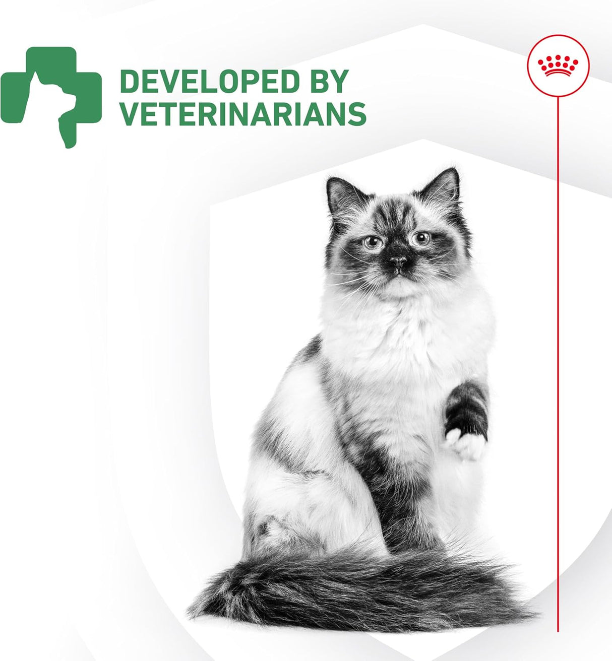 Royal Canin Probiotics for Cats Digestive and Immune Health Powder 30 Paquetes