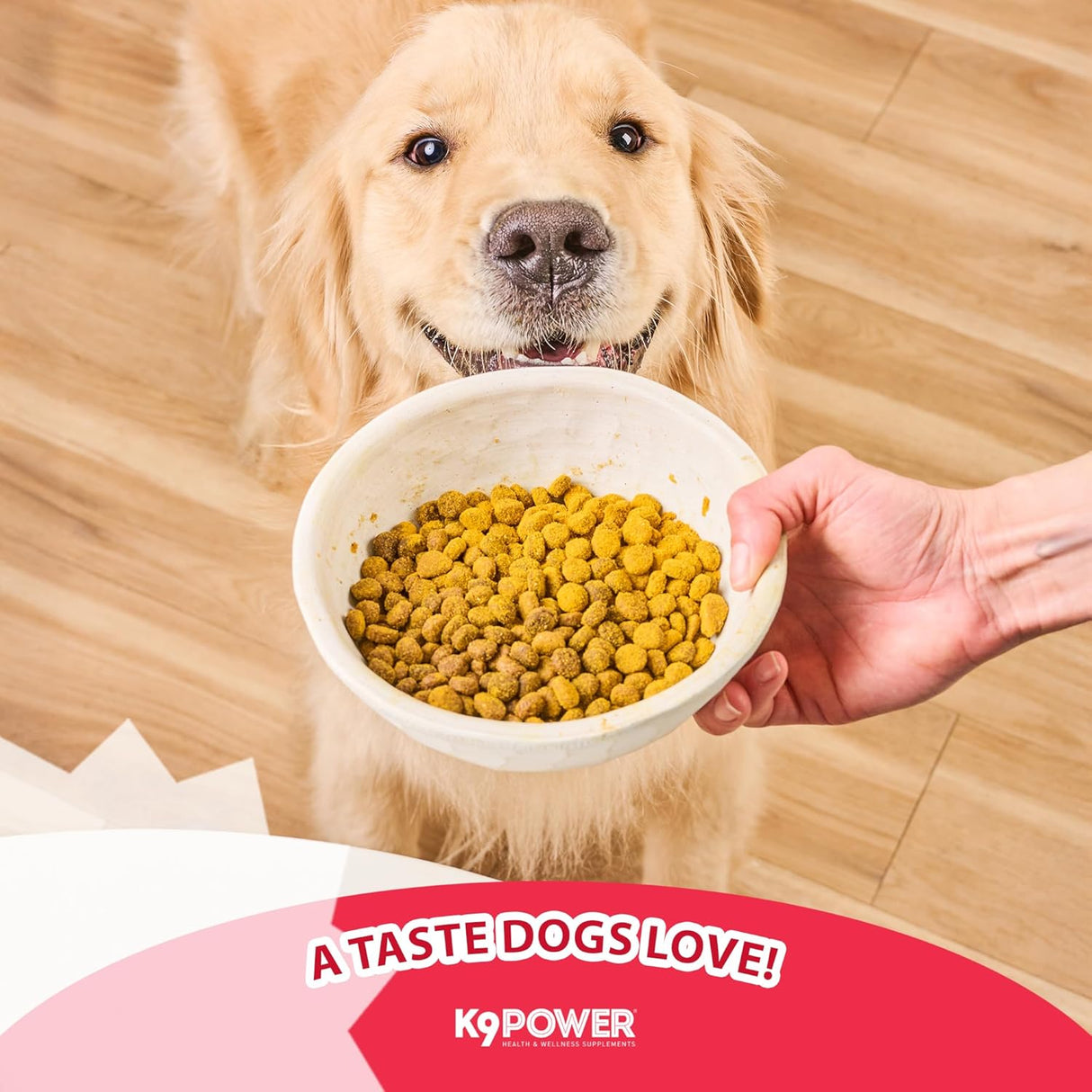 K9 Power Young at Heart Senior Dog Multivitamin 454Gr. 2 Pack