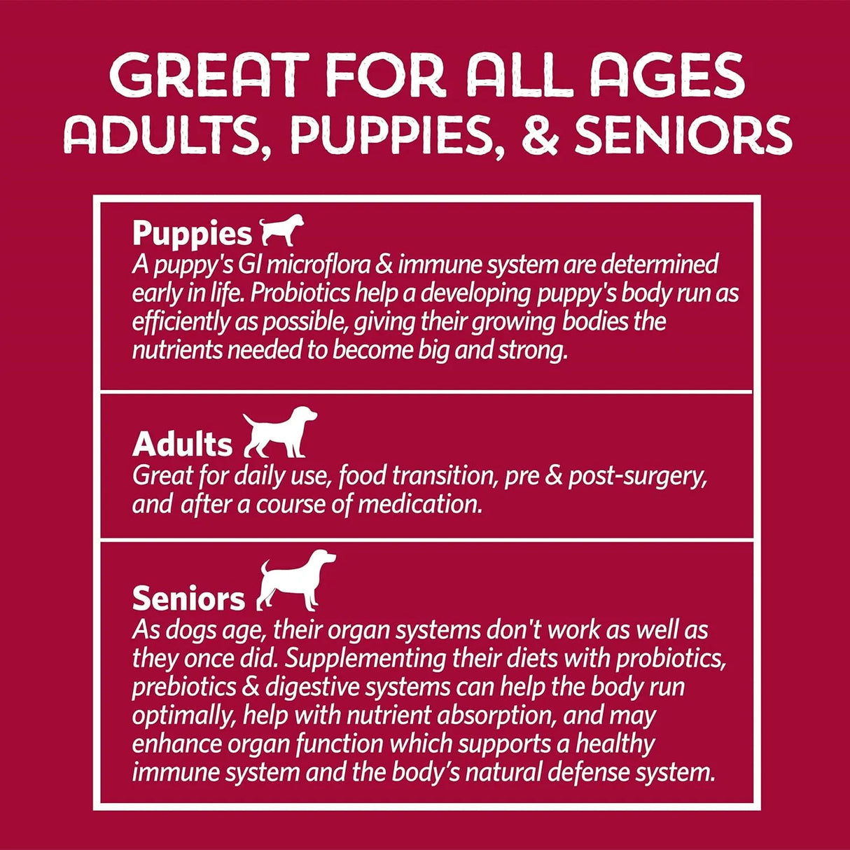 FIDOBIOTICS - Fidobiotics Good Guts for Lil Mutts Probiotic for Dogs 30 Dias - The Red Vitamin MX - Probióticos Para Perros - {{ shop.shopifyCountryName }}