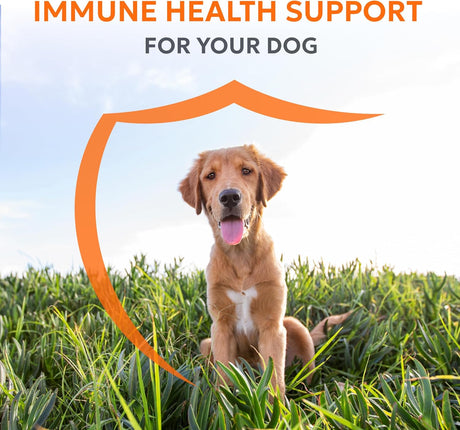 NUTRAMAX - Nutramax Laboratories Imuquin Immune Health Supplement Powder for Dogs 30 Paquetes - The Red Vitamin MX - Suplementos Herbales Para Perros - {{ shop.shopifyCountryName }}