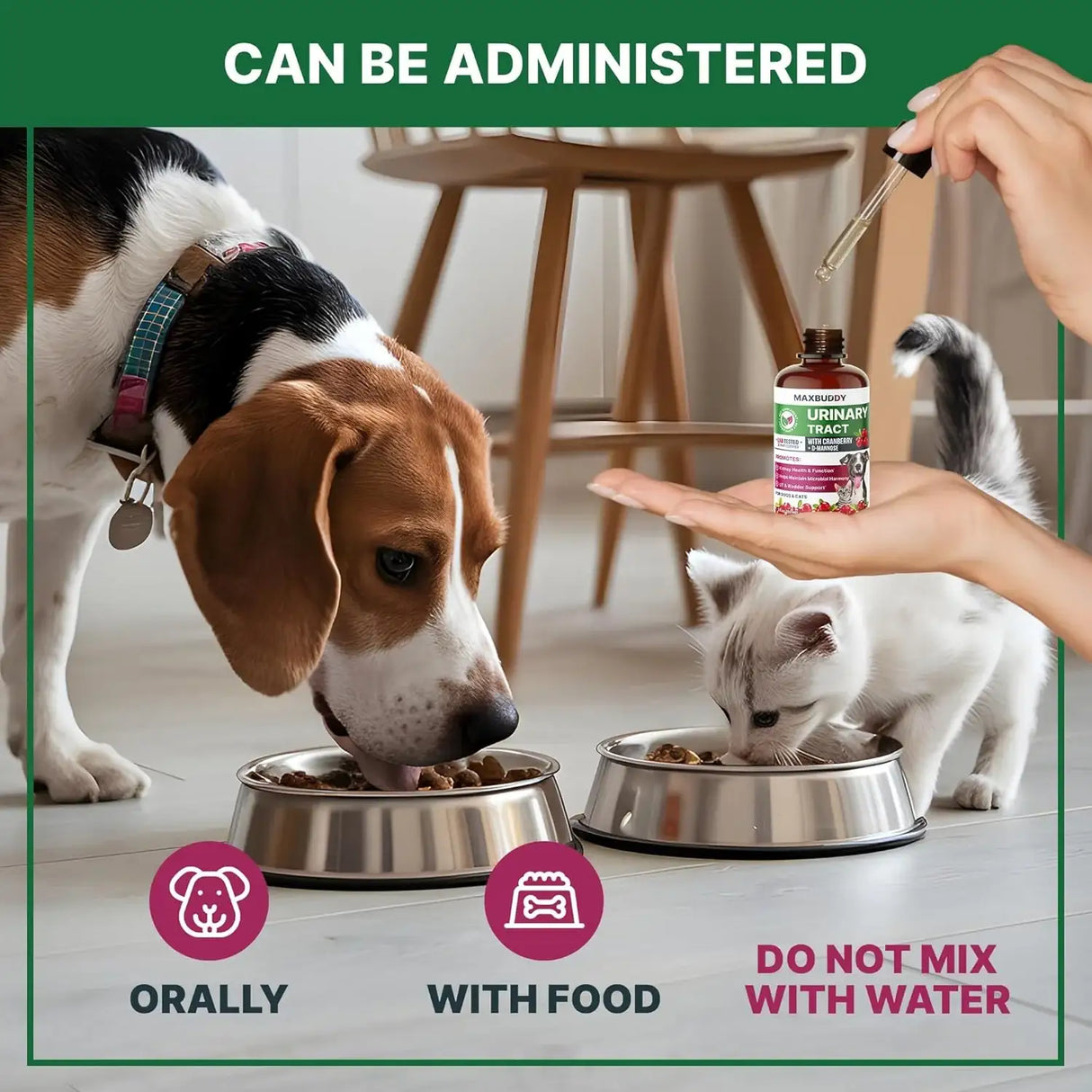 MAXBYDDY - MaxBuddy Natural UTI Treatment Support 2 Fl.Oz. - The Red Vitamin MX - Salud De Tracto Urinario Para Perros - {{ shop.shopifyCountryName }}