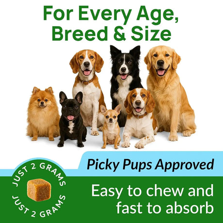 PAWFECTCHEW - PAWFECTCHEW Green Grass Dog Chews w/Probiotics 120 Masticables - The Red Vitamin MX - Salud De Tracto Urinario Para Perros - {{ shop.shopifyCountryName }}