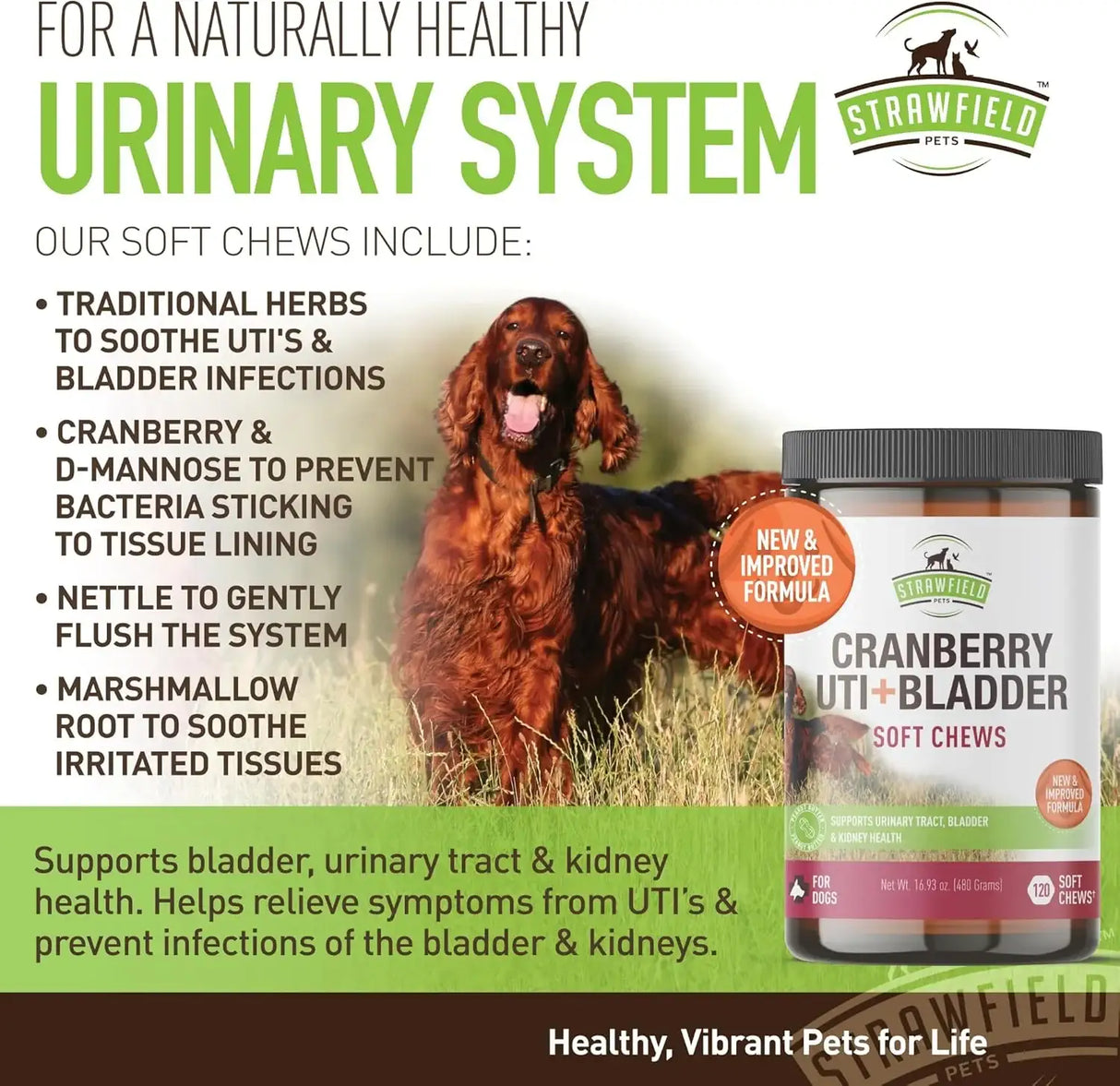 STRAWFIELD PETS - Strawfield Pets Cranberry UTI Treatment for Dogs Peanut Butter Flavor 120 Masticables - The Red Vitamin MX - Salud De Tracto Urinario Para Perros - {{ shop.shopifyCountryName }}