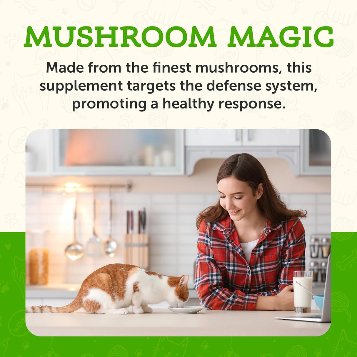 ANIMAL ESSENTIALS - Animal Essentials Combat Turkey Tail Mushroom 70Gr. - The Red Vitamin MX - Suplementos Herbales Para Perros - {{ shop.shopifyCountryName }}