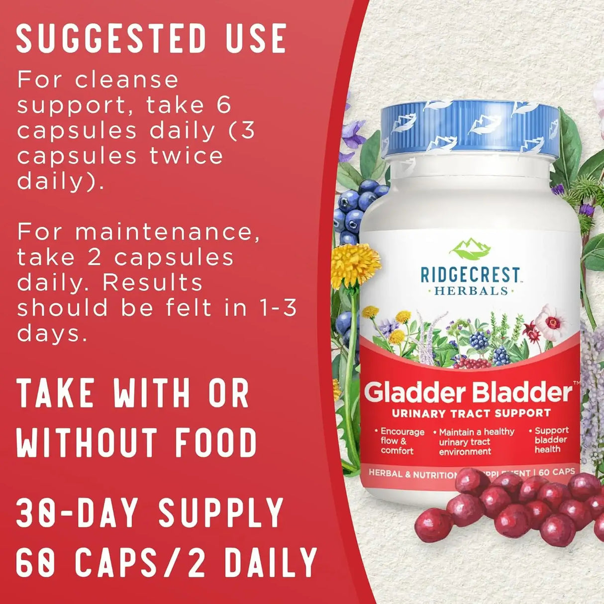 RIDGECREST HERBALS - RidgeCrest Herbals Gladder Bladder 60 Capsulas - The Red Vitamin MX - Suplementos Alimenticios - {{ shop.shopifyCountryName }}