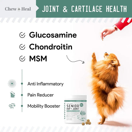 CHEW + HEAL - Chew + Heal Labs Senior Hip and Joint Chicken Flavor 120 Masticables - The Red Vitamin MX - Cuidado De Cadera Y Articulaciones Para Perros - {{ shop.shopifyCountryName }}