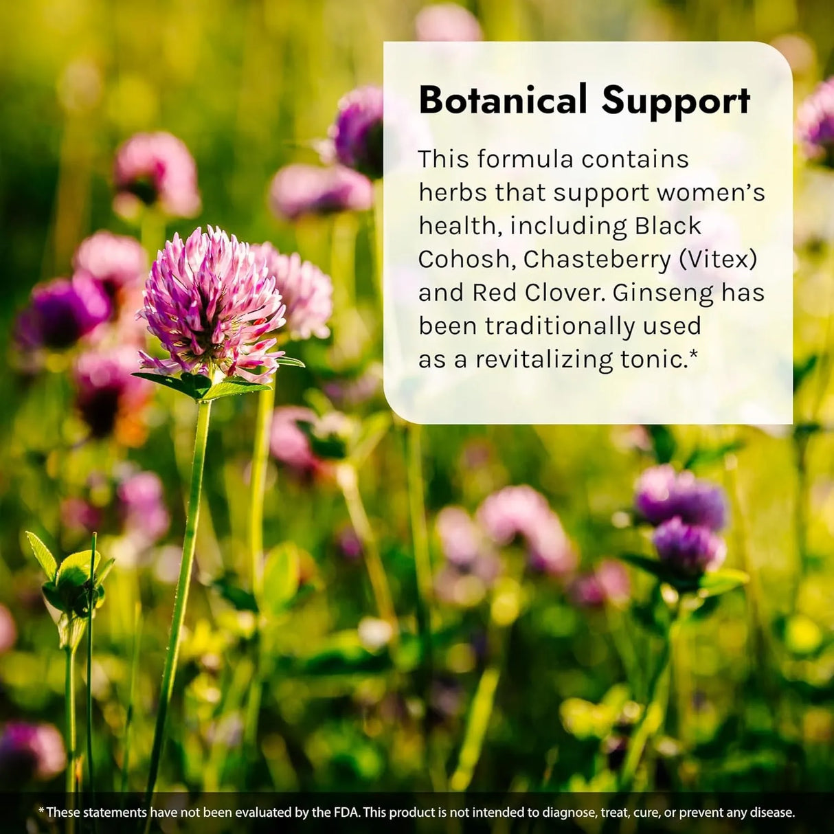 IRWIN NATURALS - Irwin Naturals EstroPause Menopause Support 80 Capsulas Blandas - The Red Vitamin MX - Suplementos Alimenticios - {{ shop.shopifyCountryName }}