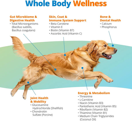 5STRANDS - 5Strands Dog Multivitamin Chews 10-in-1 Vitamins & Postbiotics Chicken 90 Masticables - The Red Vitamin MX - Multivitamínicos Para Perros - {{ shop.shopifyCountryName }}