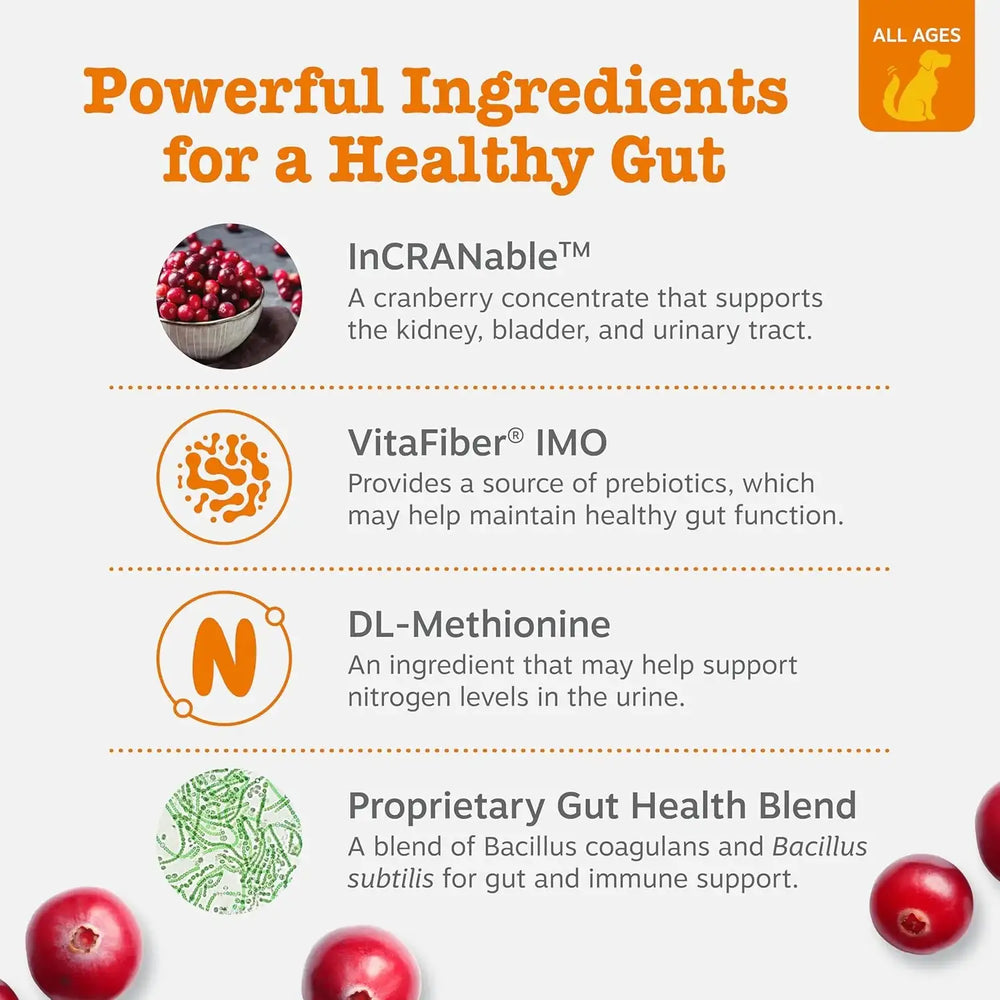 ZESTY PAWS - Zesty Paws Stay Green Bites for Dogs CHICKEN 90 Masticables - The Red Vitamin MX - Salud De Tracto Urinario Para Perros - {{ shop.shopifyCountryName }}