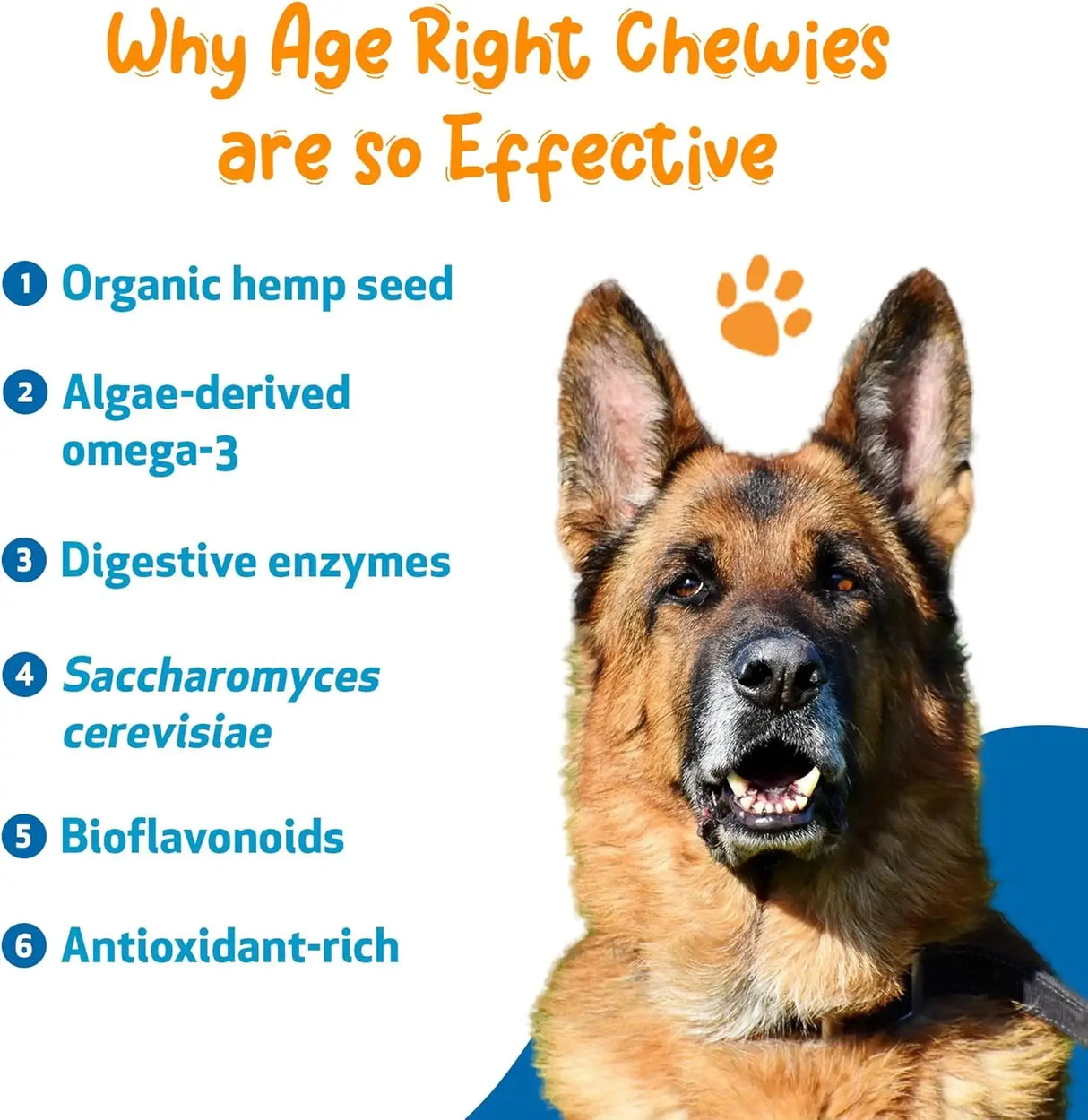 PET WELLBEING - Pet Wellbeing Age Right Chewies for Dogs in their Prime & Senior Years 90 Masticables - The Red Vitamin MX - Multivitamínicos Para Perros - {{ shop.shopifyCountryName }}