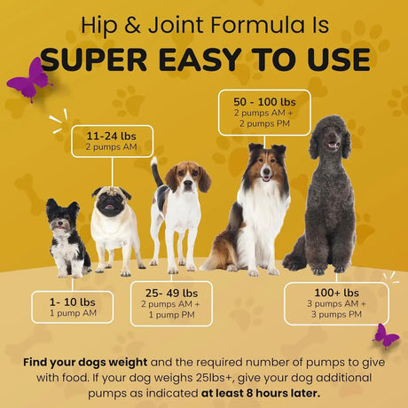 PETMADE - PETMADE Dog Hip and Joint Supplement 16 Fl.Oz. - The Red Vitamin MX - Cuidado De Cadera Y Articulaciones Para Perros - {{ shop.shopifyCountryName }}