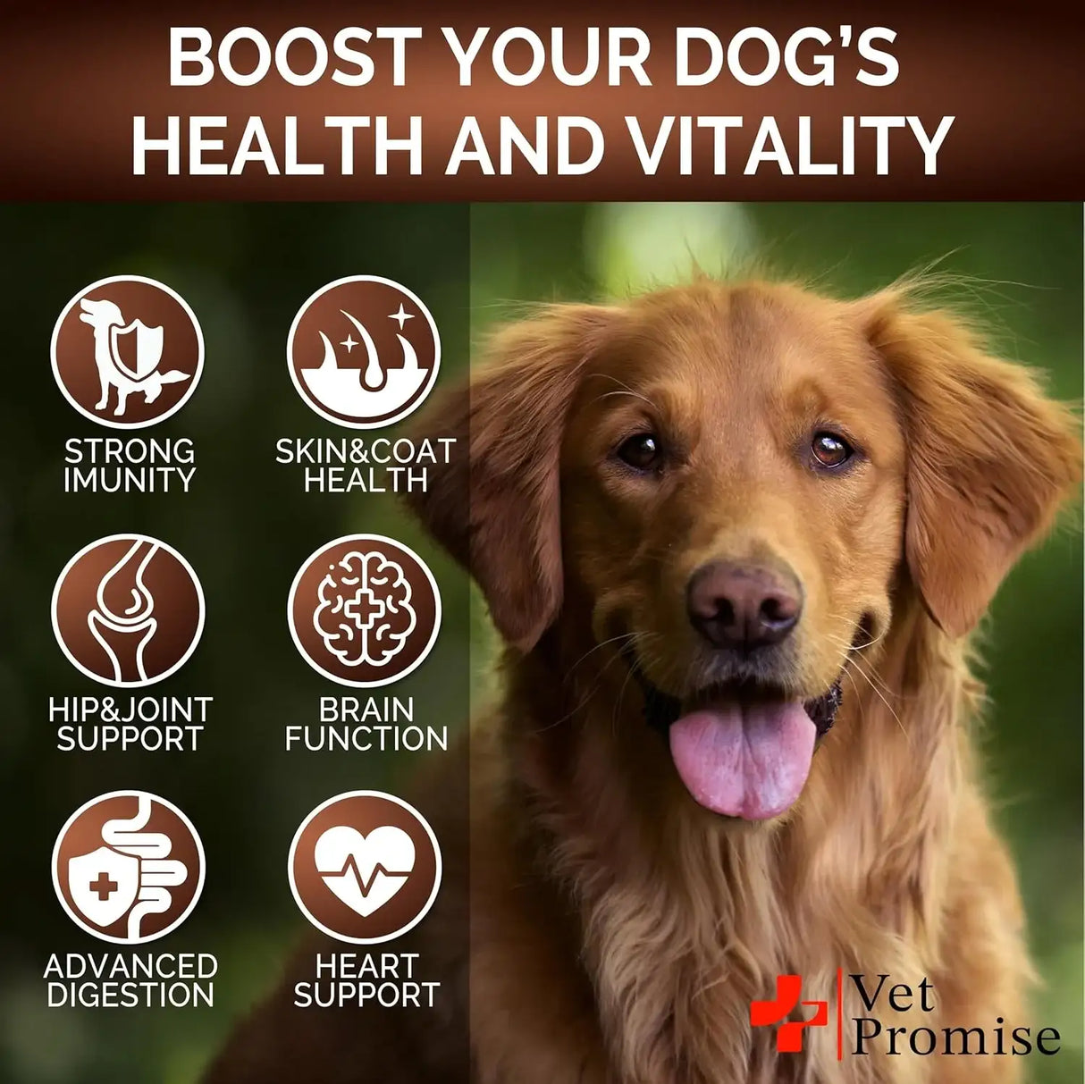 VET PROMISE - Vet Promise Mushroom for Dogs 170 Masticables - The Red Vitamin MX - Suplementos Herbales Para Perros - {{ shop.shopifyCountryName }}