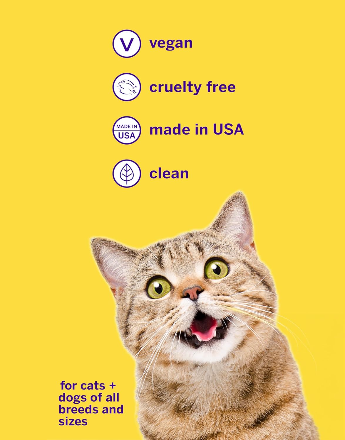 Petsmile Professional Pet Teeth Brushing Kit for Cats & Dogs London Broil 4.2 Oz