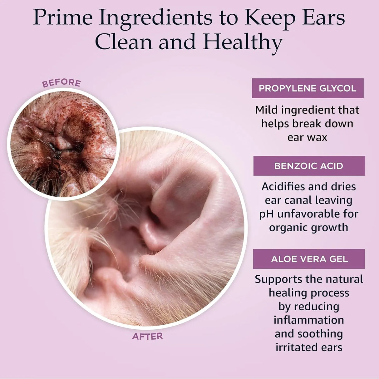 PRIME PAWS - Prime Paws Ear Cleansing Solution for Dogs and Cats 8 Fl.Oz. - The Red Vitamin MX - Cuidado Del Oído De Perros - {{ shop.shopifyCountryName }}