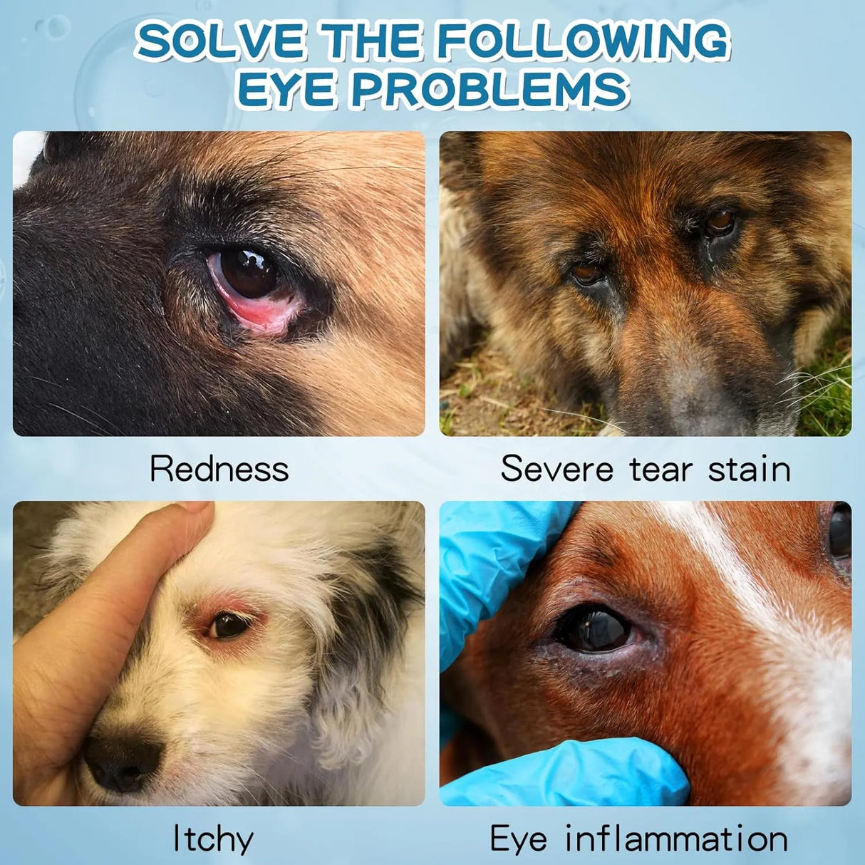 MORIKEY - Morikey Pet Eye Drops 120Ml. - The Red Vitamin MX - Cuidado De Los Ojos De Los Perros - {{ shop.shopifyCountryName }}