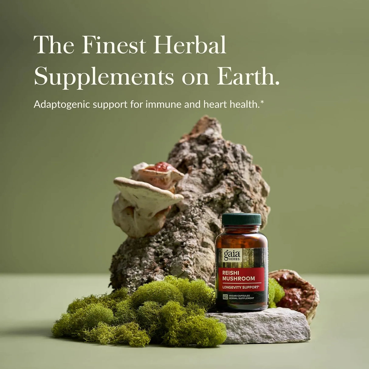 GAIA HERBS - Gaia Herbs Reishi Mushroom 40 Capsulas - The Red Vitamin MX - Suplementos Alimenticios - {{ shop.shopifyCountryName }}