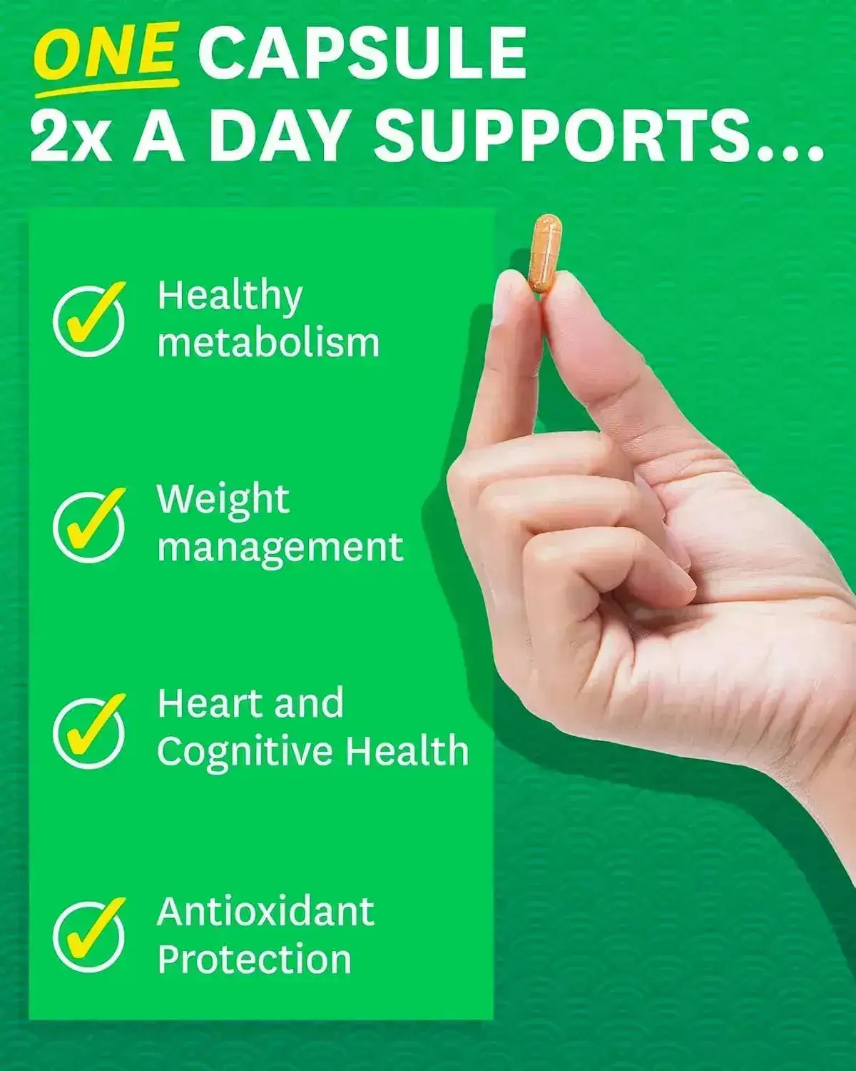 ZENWISE HEALTH - Zenwise Health Green Tea Extract with Green Coffee Bean Extract 60 Capsulas - The Red Vitamin MX - Suplementos Alimenticios - {{ shop.shopifyCountryName }}