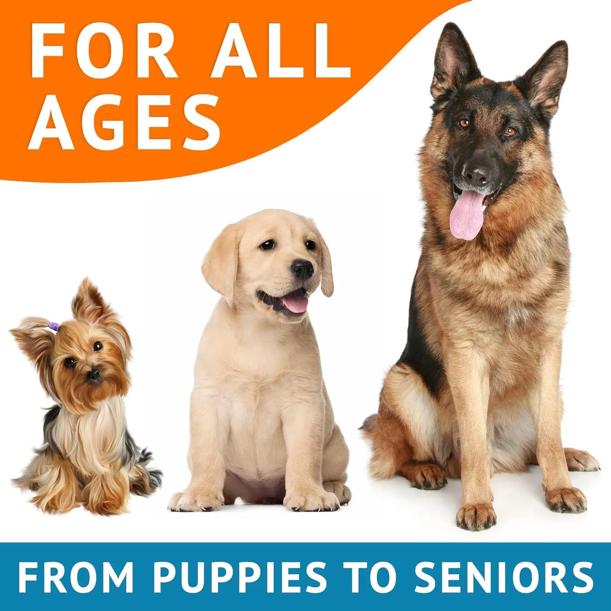 GOODGROWLIES - GOODGROWLIES Omega 3 Fish Oil for Dogs Salmon Flavor 180 Masticables - The Red Vitamin MX - Aceite De Pescado Para Perros - {{ shop.shopifyCountryName }}