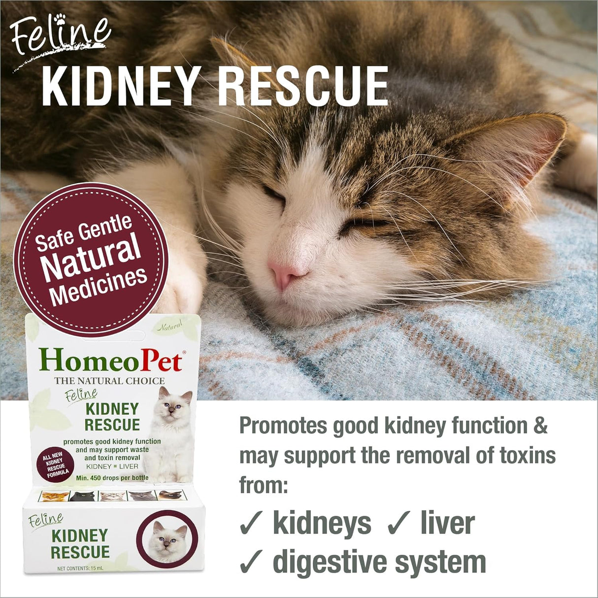 HomeoPet Feline Kidney Rescue 15Ml.