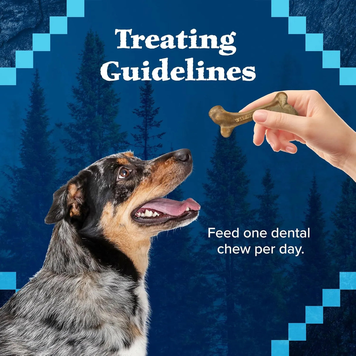 BLUE BUFFALO - Blue Buffalo Wilderness Trail Treats Wild Bones Large Dental Chews 280Gr. - The Red Vitamin MX - Cuidado Dental Para Perros - {{ shop.shopifyCountryName }}