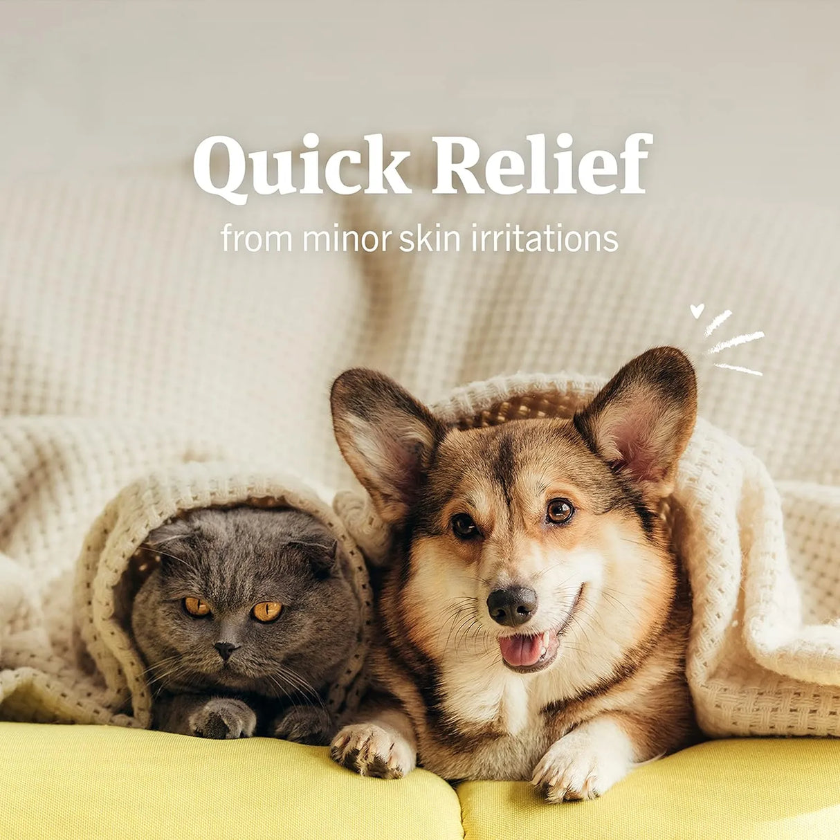 PETARMOR - PetArmor Hydrocortisone Spray for Dogs & Cats 4 Fl.Oz. - The Red Vitamin MX - Remedios Para La Picazón De Perros - {{ shop.shopifyCountryName }}