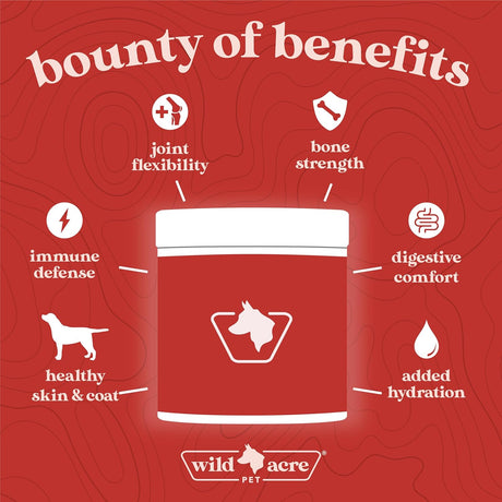 WILD ACRE - Wild Acre Premium Beef Bone Broth for Dogs 198Gr. - The Red Vitamin MX - Suplementos Herbales Para Perros - {{ shop.shopifyCountryName }}