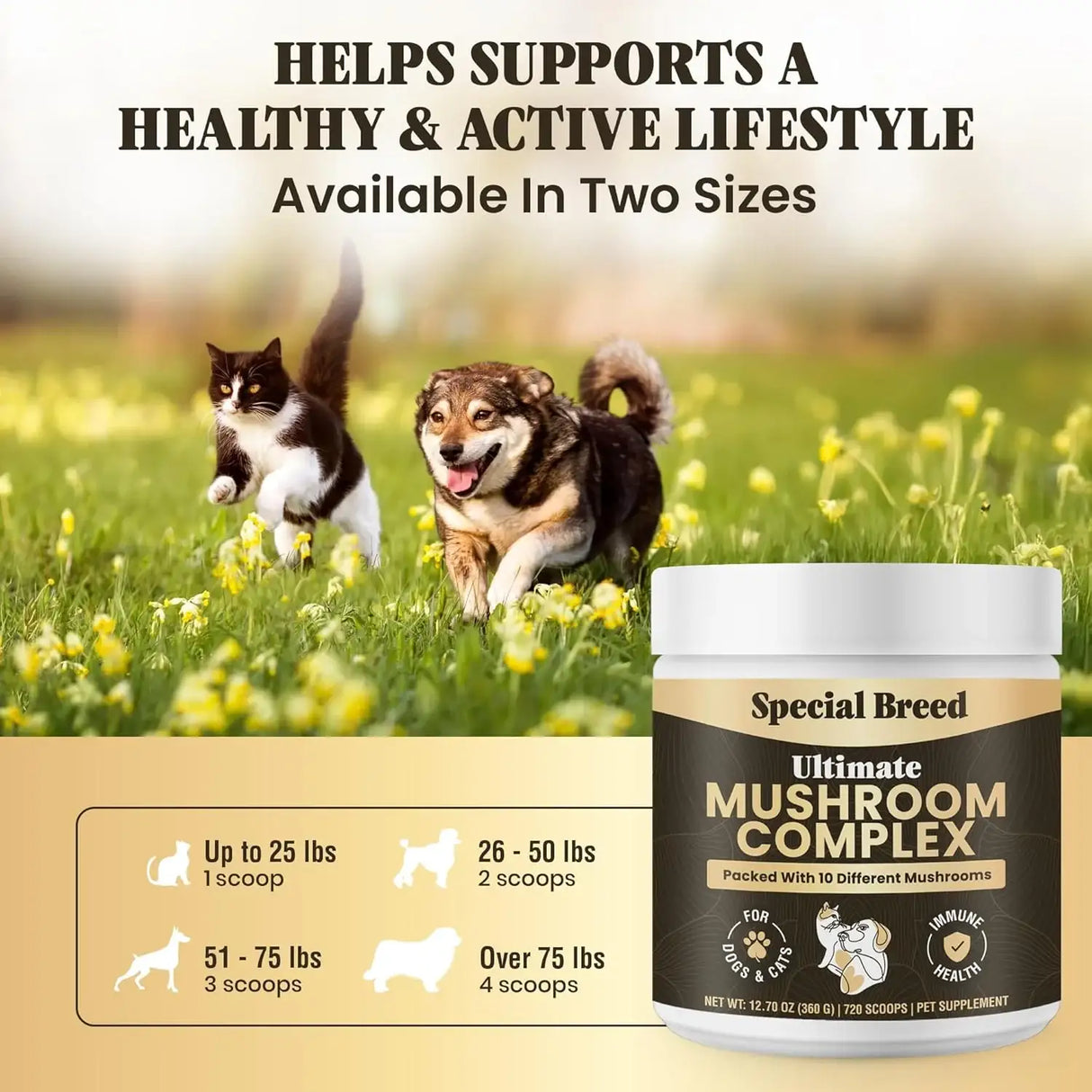 SPECIAL BREED - Special Breed Mushroom Powder for Dogs & Cats 720 Servicios 360Gr. - The Red Vitamin MX - Suplementos Herbales Para Perros - {{ shop.shopifyCountryName }}