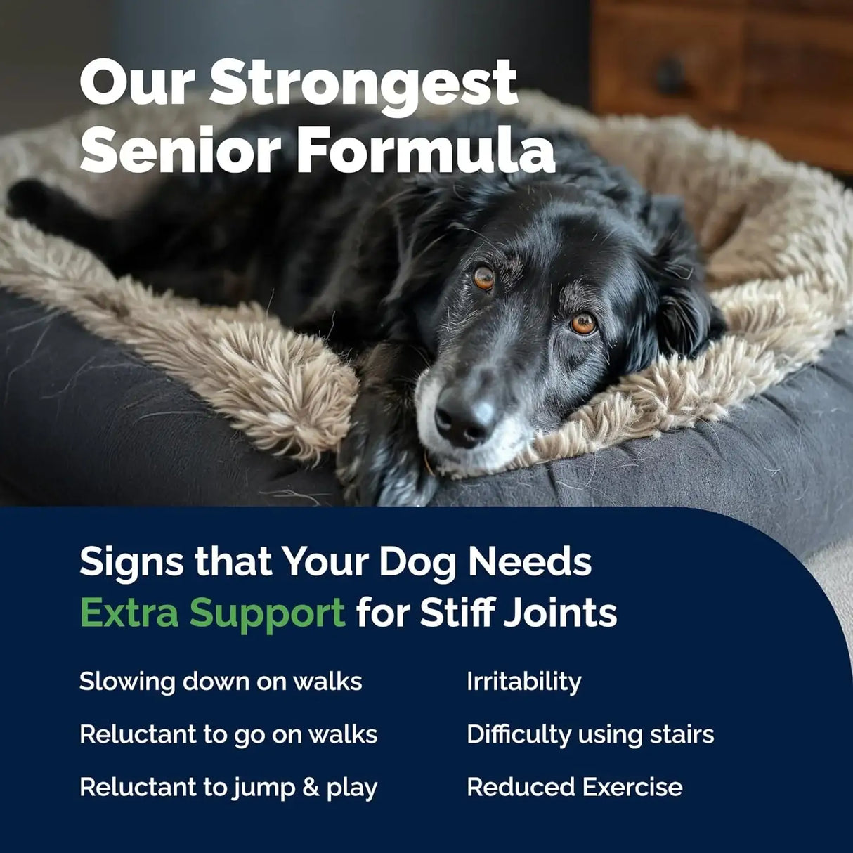 YUMOVE - YuMOVE Hip & Joint Supplement for Senior Dogs with Max Strength 120 Tabletas Masticables - The Red Vitamin MX - Cuidado De Cadera Y Articulaciones Para Perros - {{ shop.shopifyCountryName }}