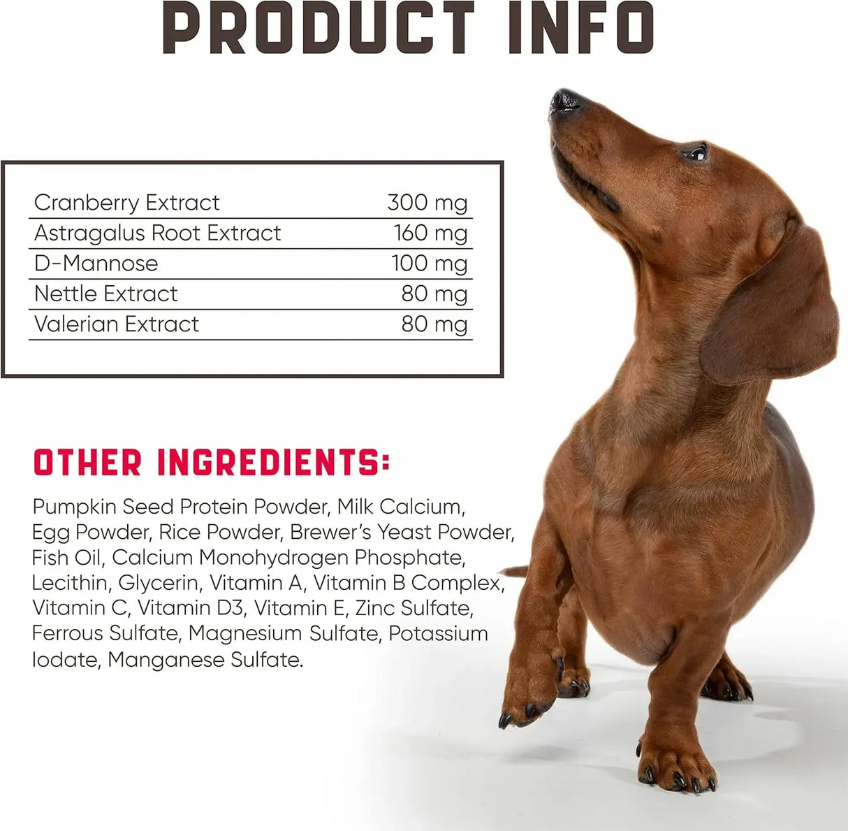 KINPUR - Kinpur Pet Care Dog UTI Treatment 180 Masticables - The Red Vitamin MX - Salud De Tracto Urinario Para Perros - {{ shop.shopifyCountryName }}