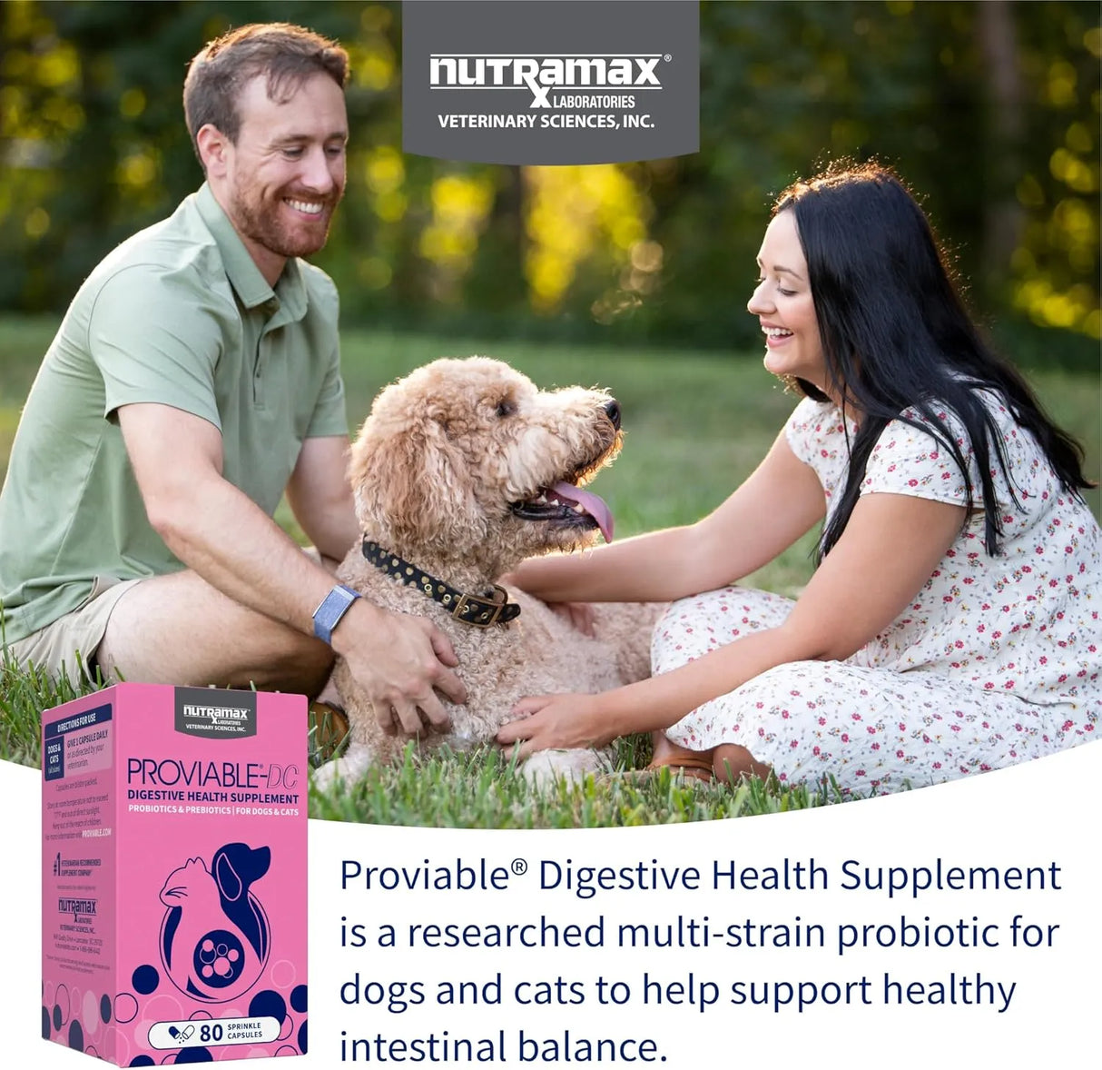 NUTRAMAX - Nutramax Proviable Probiotics for Dogs and Cats 80 Capsulas - The Red Vitamin MX - Probióticos Para Perros - {{ shop.shopifyCountryName }}