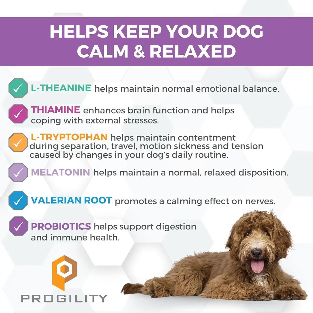 NOOTIE - Nootie Progility Daily Calming Aid Chews for Dogs 90 Masticables - The Red Vitamin MX - Relajantes Para Perros - {{ shop.shopifyCountryName }}