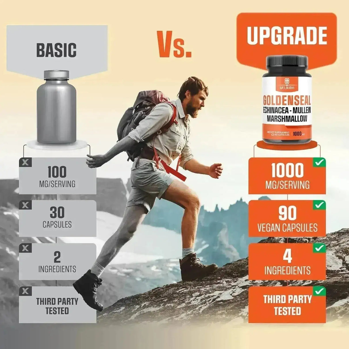 WELBUDA - WELBUDA Goldenseal Root Extract 10:1 with Echinacea, Mullein Leaf, Marshmallow 90 Capsulas - The Red Vitamin MX - Suplementos Alimenticios - {{ shop.shopifyCountryName }}