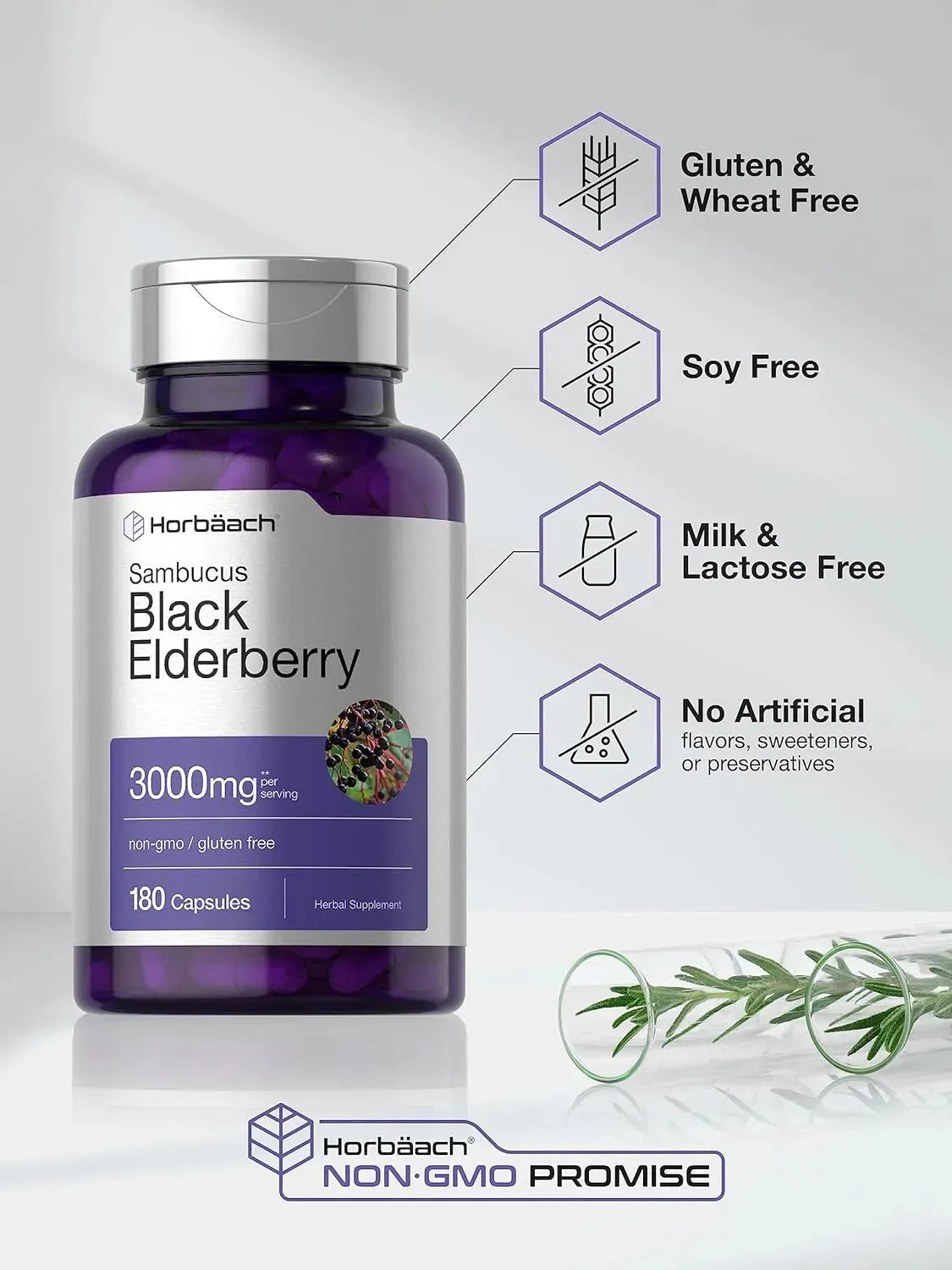 HORBAACH - Horbaach Black Elderberry 3000Mg. 180 Capsulas - The Red Vitamin MX - Suplementos Alimenticios - {{ shop.shopifyCountryName }}