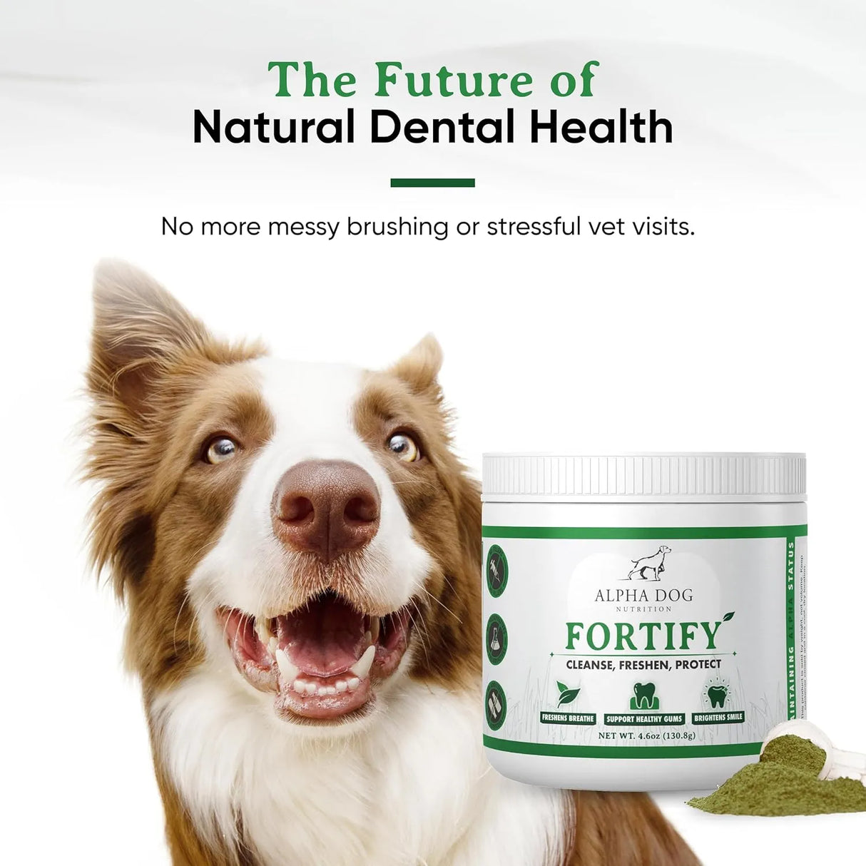 ALPHA DOG NUTRITION - Alpha Dog Nutrition Dog Teeth Cleaning Powder 130Gr. - The Red Vitamin MX - Cuidado Dental Para Perros - {{ shop.shopifyCountryName }}