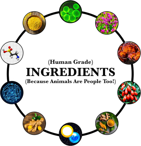 MORE DOG DAYS - More Dog Days Anti-Aging & Immune Support 50 Servicios 330Gr. - The Red Vitamin MX - Suplementos Herbales Para Perros - {{ shop.shopifyCountryName }}