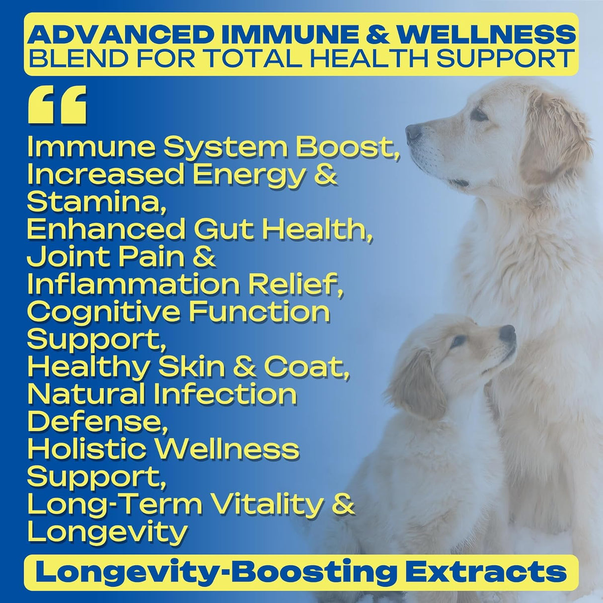 PAWBLISS - PawBliss Turkey Tail Mushroom for Dogs 120 Masticables - The Red Vitamin MX - Suplementos Herbales Para Perros - {{ shop.shopifyCountryName }}