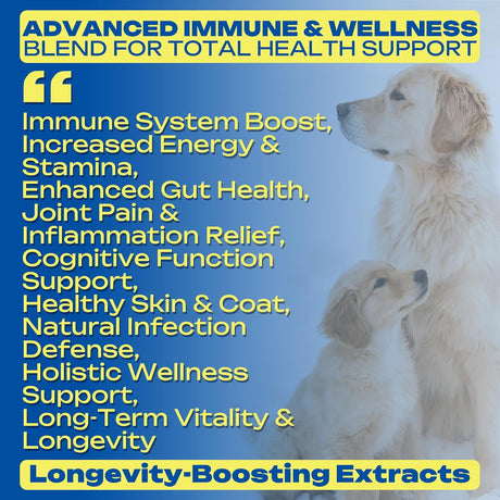 PAWBLISS - PawBliss Turkey Tail Mushroom for Dogs 120 Masticables - The Red Vitamin MX - Suplementos Herbales Para Perros - {{ shop.shopifyCountryName }}