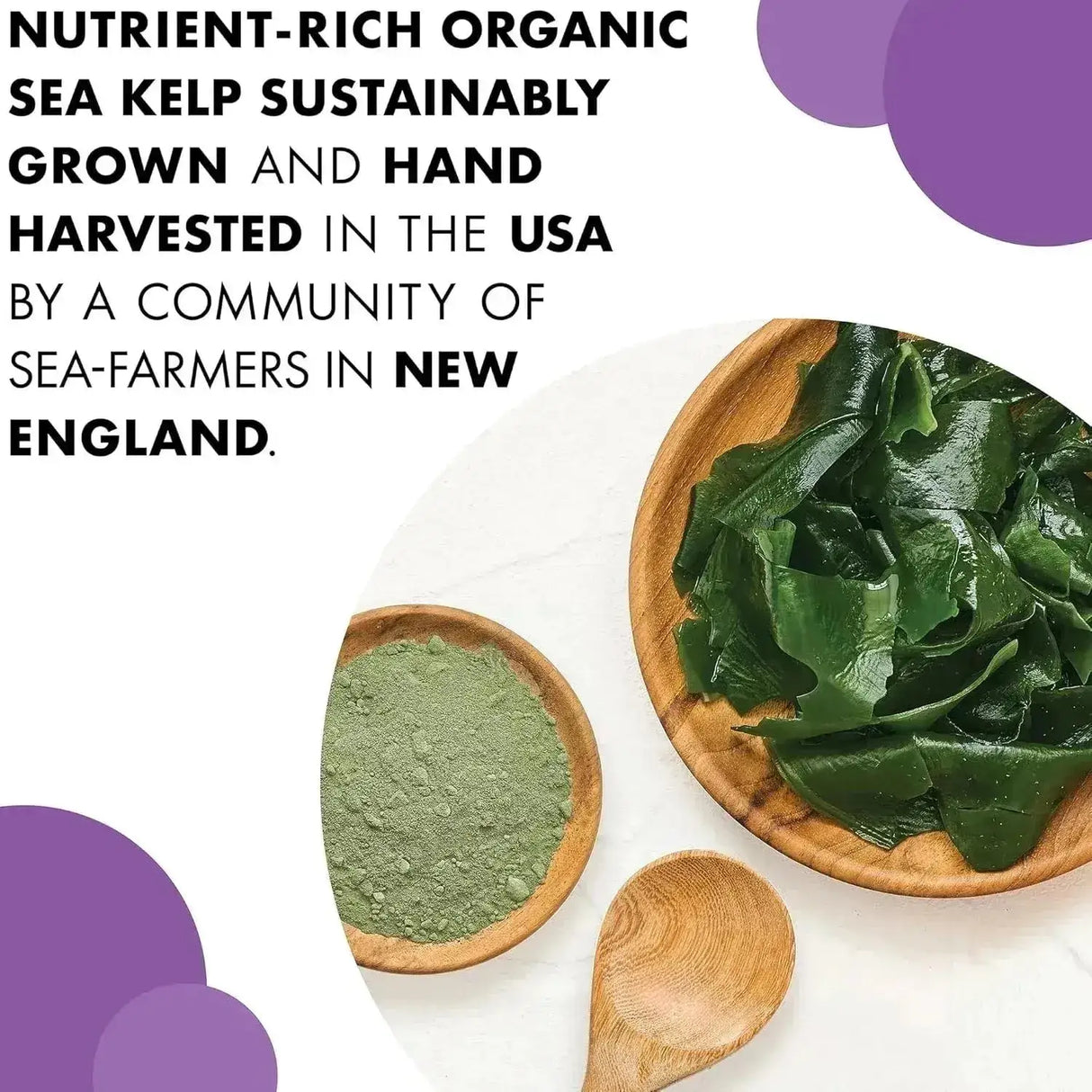 BLUEBONNET NUTRITION - Bluebonnet Nutrition Atlantic Sea Kelp Iodine 120 Capsulas - The Red Vitamin MX - Suplementos Alimenticios - {{ shop.shopifyCountryName }}