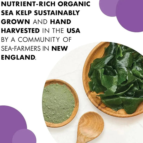 BLUEBONNET NUTRITION - Bluebonnet Nutrition Atlantic Sea Kelp Iodine 120 Capsulas - The Red Vitamin MX - Suplementos Alimenticios - {{ shop.shopifyCountryName }}