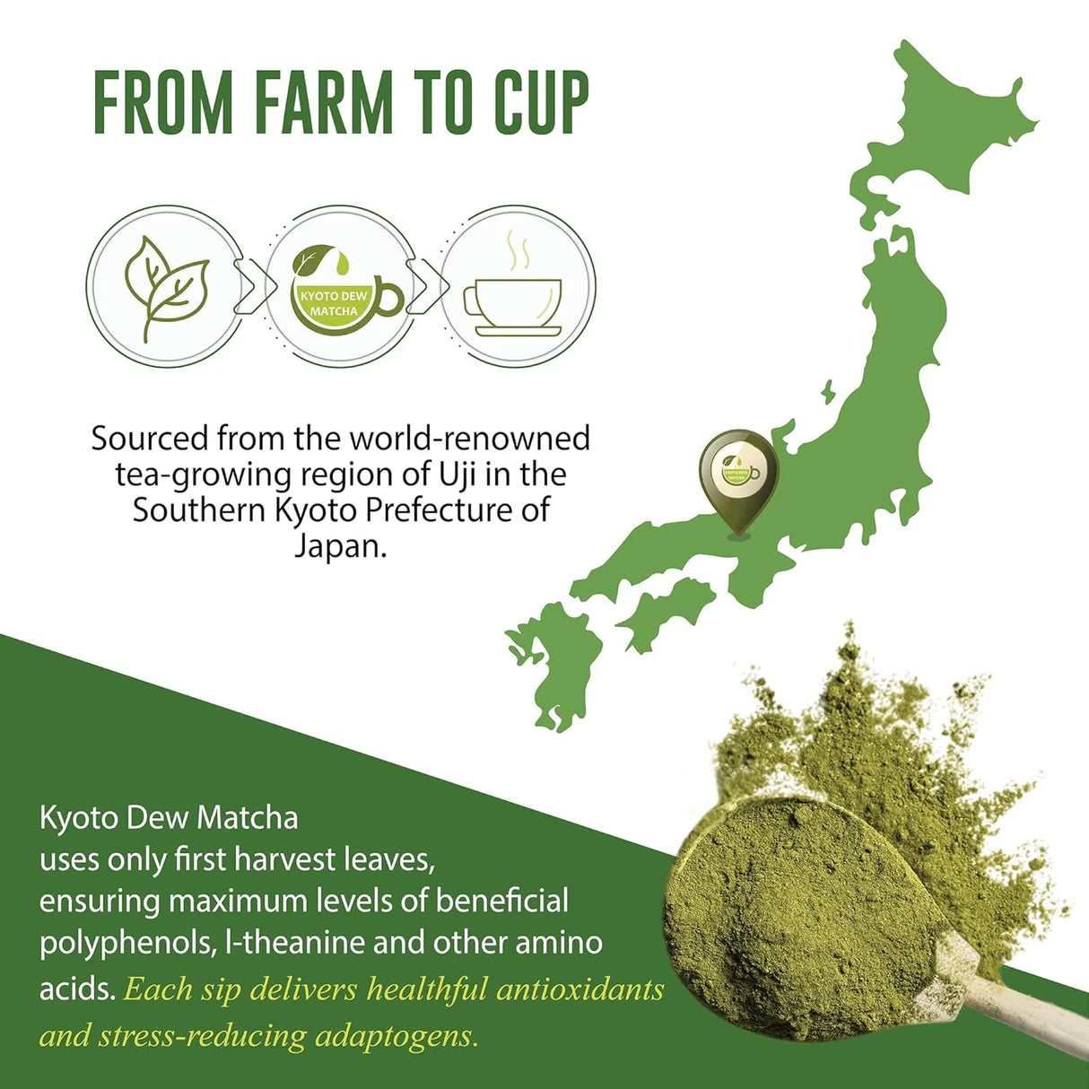 KYOTO DEW MATCHA - Kyoto Dew Matcha Organic Premium Ceremonial Grade Japanese Matcha Green Tea Powder 30Gr. - The Red Vitamin MX - Suplementos Alimenticios - {{ shop.shopifyCountryName }}