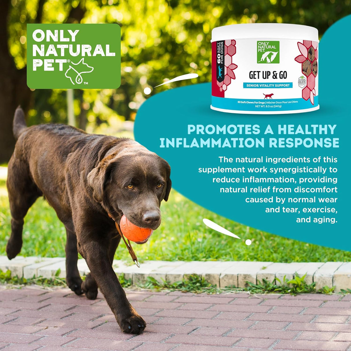 Only Natural Pet Get Up & Go Herbal Joint Support Supplement for Dogs 60 Masticables
