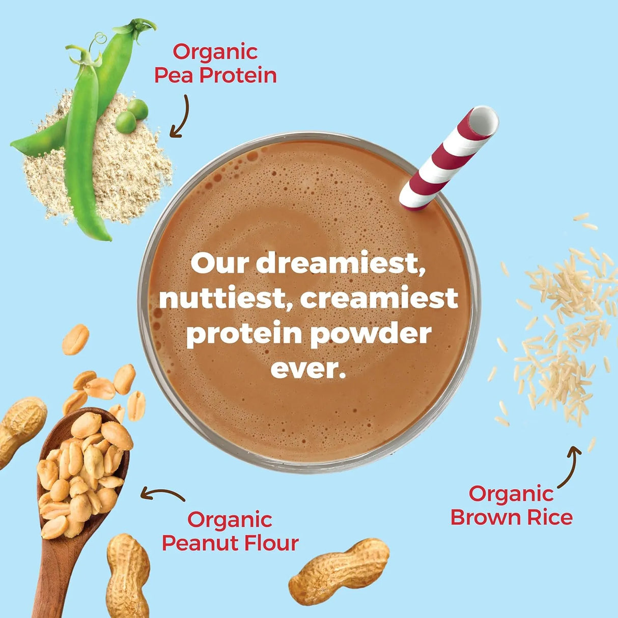 ORGAIN - Orgain X Justin's Organic Vegan Nut Butter Protein Powder Chocolate Peanut Butter 1.17 Lb. - The Red Vitamin MX - Suplementos Alimenticios - {{ shop.shopifyCountryName }}