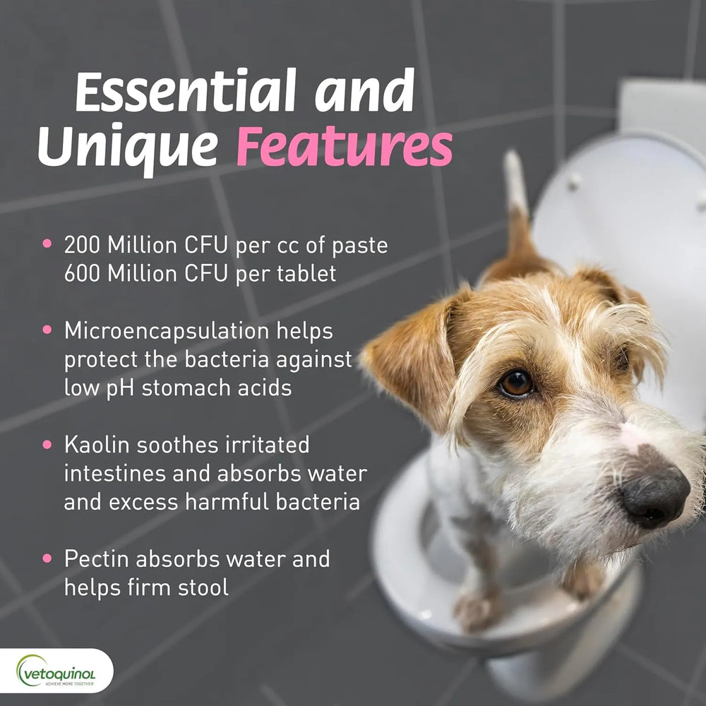 VETOQUINOL - Vetoquinol Pro-Pectalin Oral Paste for Dogs & Cats 30cc - The Red Vitamin MX - Probióticos Para Perros - {{ shop.shopifyCountryName }}