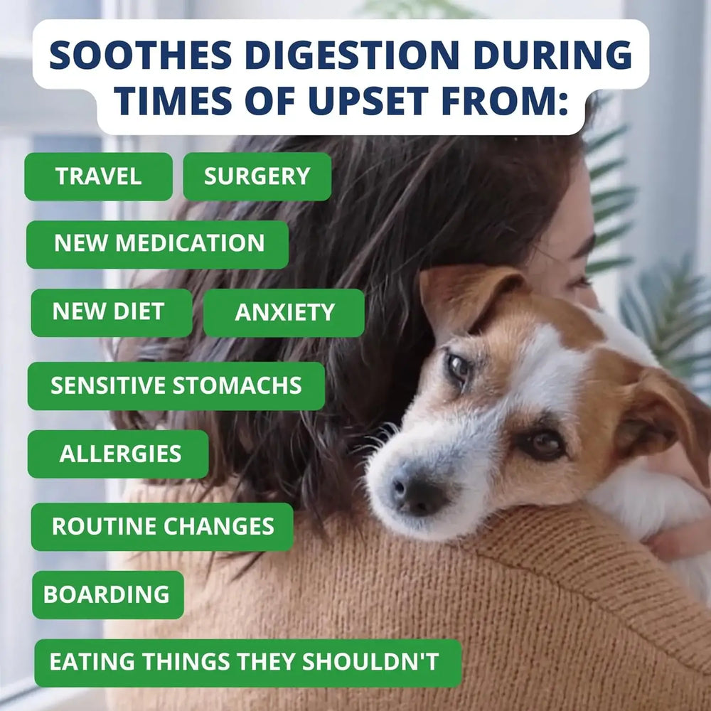 UNDER THE WEATHER - Under the Weather Bland Diet for Dogs Rice Hamburger & Bone Broth 6 Oz. 2 - The Red Vitamin MX - Medicamentos Sin Receta Para Perros - {{ shop.shopifyCountryName }}