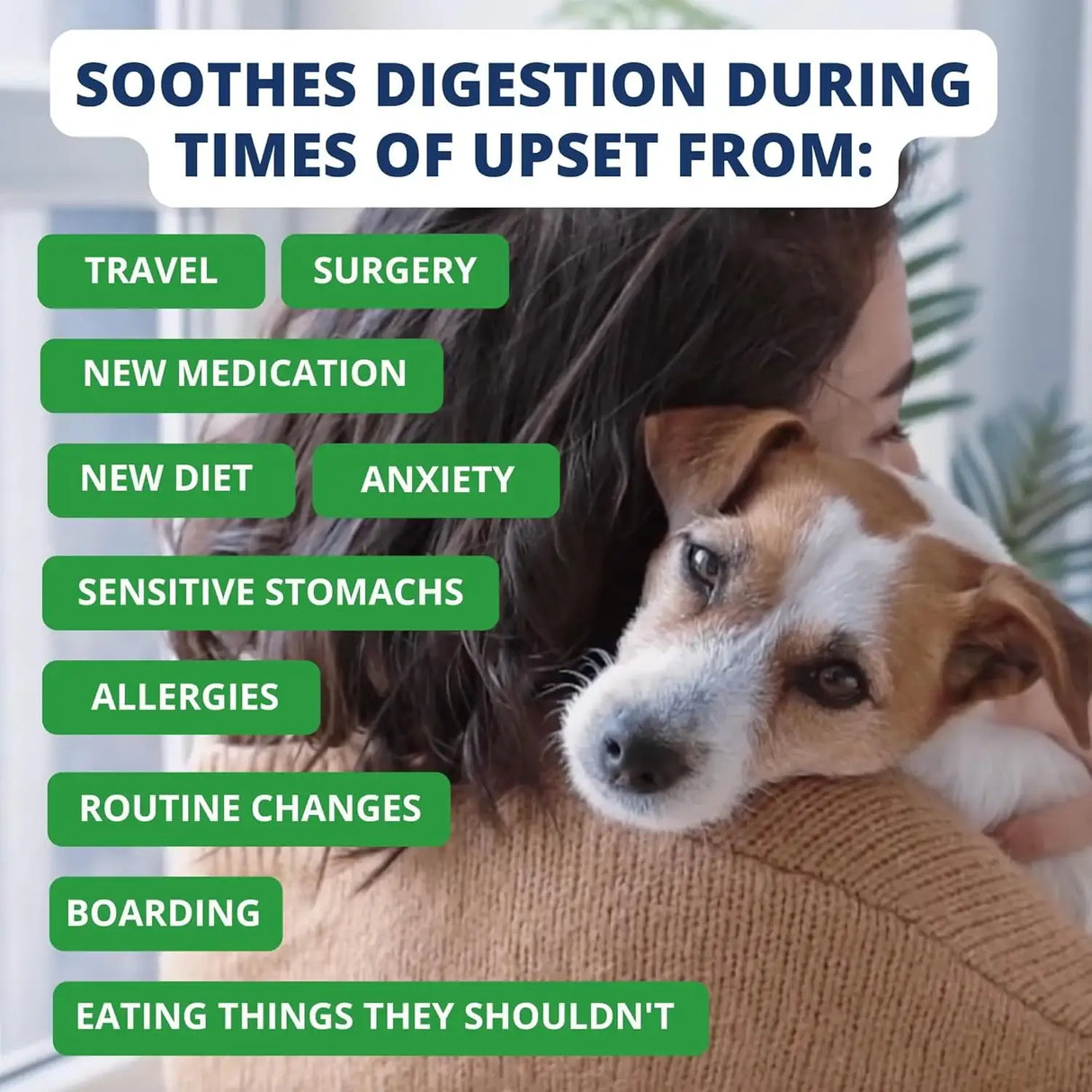 UNDER THE WEATHER - Under the Weather Bland Diet for Dogs Rice Hamburger & Bone Broth 6 Oz. 2 - The Red Vitamin MX - Medicamentos Sin Receta Para Perros - {{ shop.shopifyCountryName }}