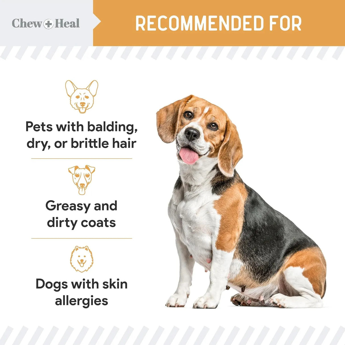 CHEW + HEAL - Chew + Heal Labs Wild Caught Omega 3 Fish Oil for Large Breed 180 Capsulas Blandas 2 Pack - The Red Vitamin MX - Aceite De Pescado Para Perros - {{ shop.shopifyCountryName }}