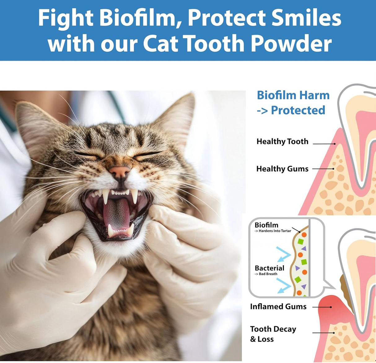 Spanielbuns Cat Dental Care Powder Bad Breath Treatment for Cats Teeth 80Gr.