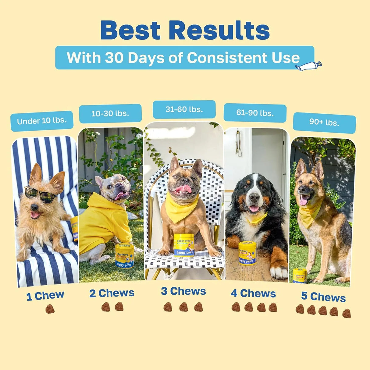 HAPPY PAWS - Happy Paws Dental Chews for Dogs Spearmint Flavor 100 Masticables - The Red Vitamin MX - Cuidado Dental Para Perros - {{ shop.shopifyCountryName }}